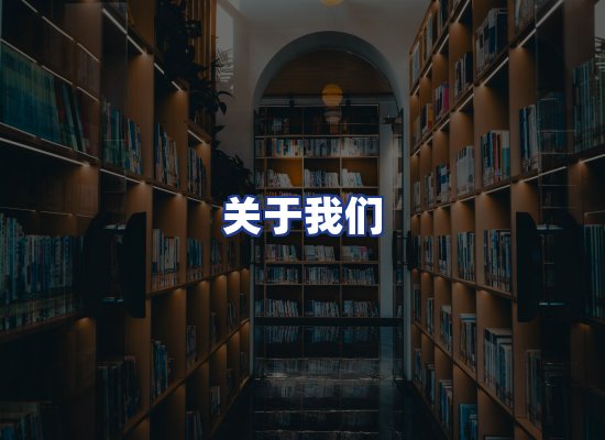 专业团队